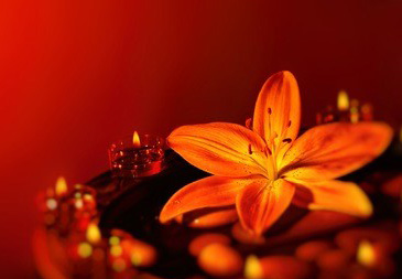 体验深圳spa服务需要注意哪些方面？